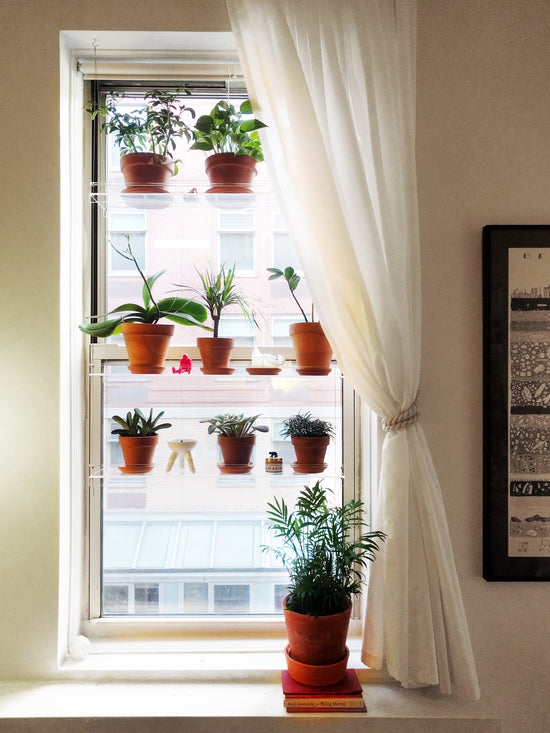 Beautiful Views clear acrylic window plant shelf apartment window hook mount