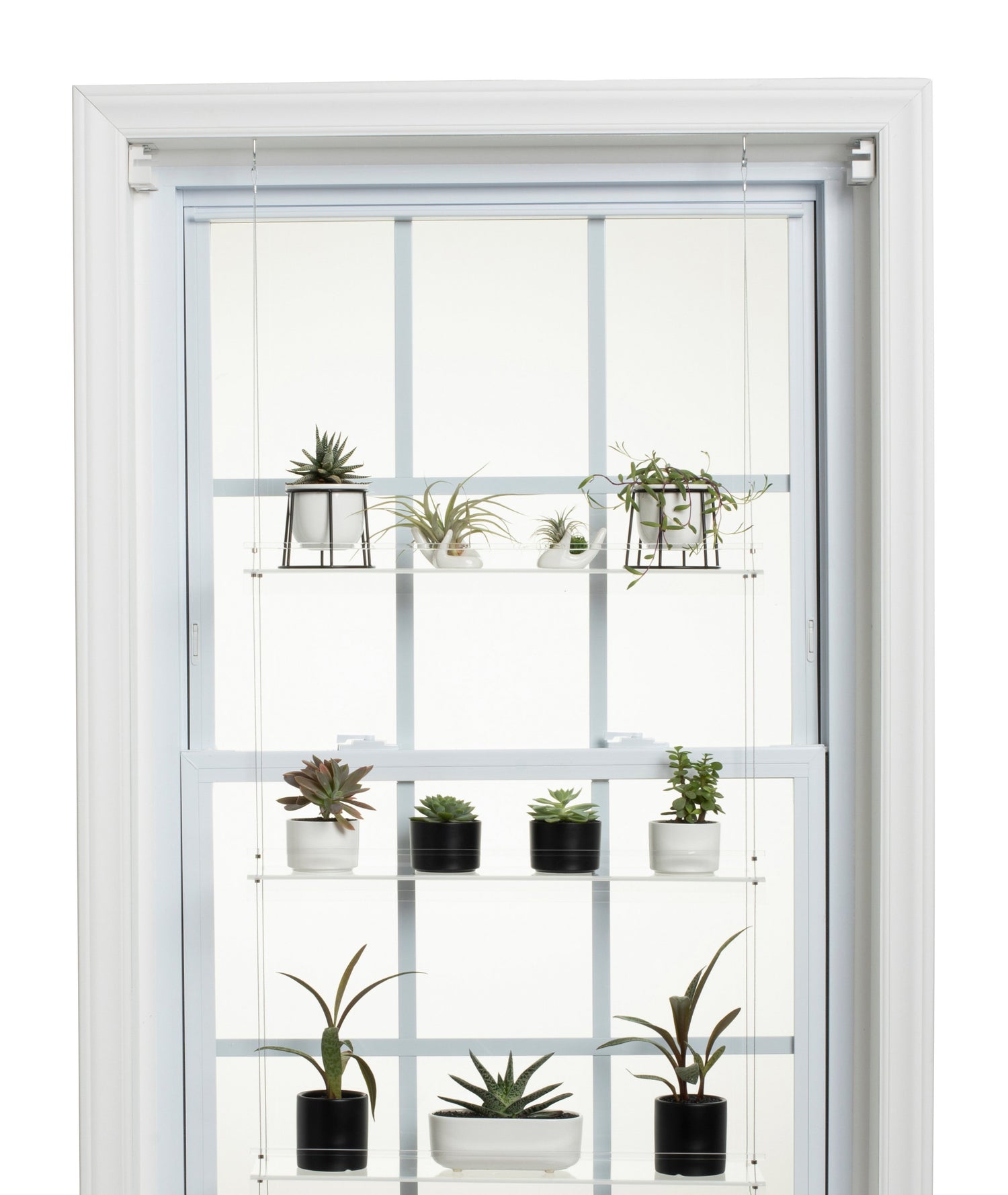 Hanging Window Plant Shelf - 4 Shelf.