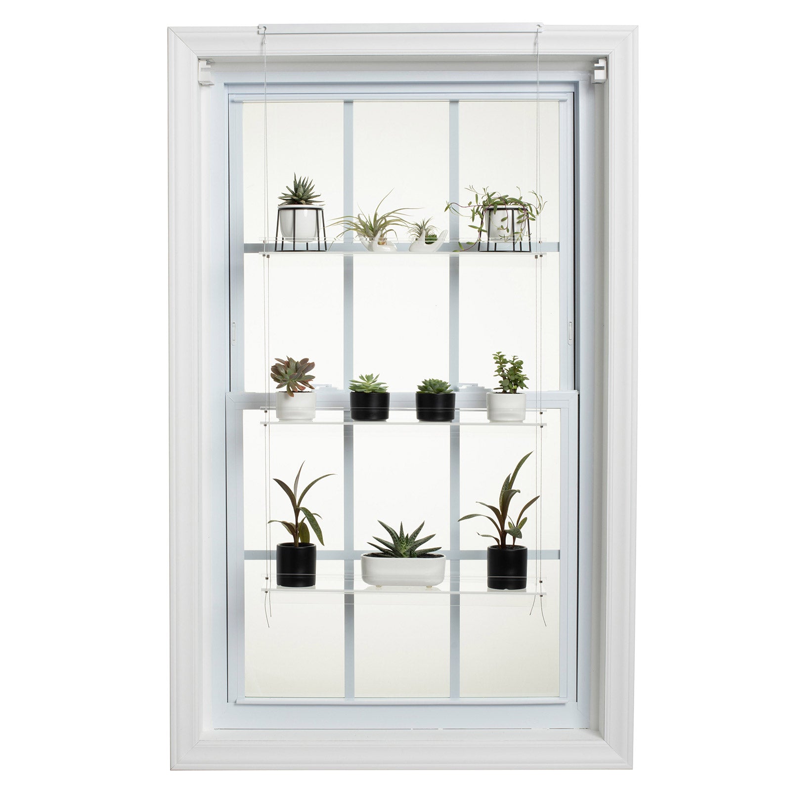 window rack for plants Hanging Window Plant Shelf