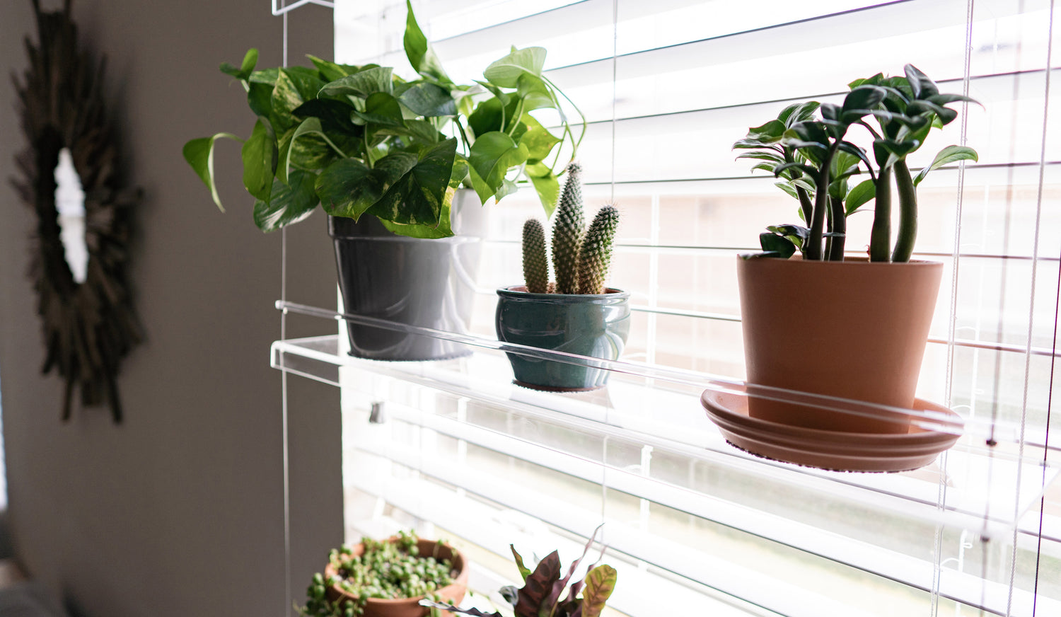 Beautiful Views clear acrylic window plant shelf window with blinds