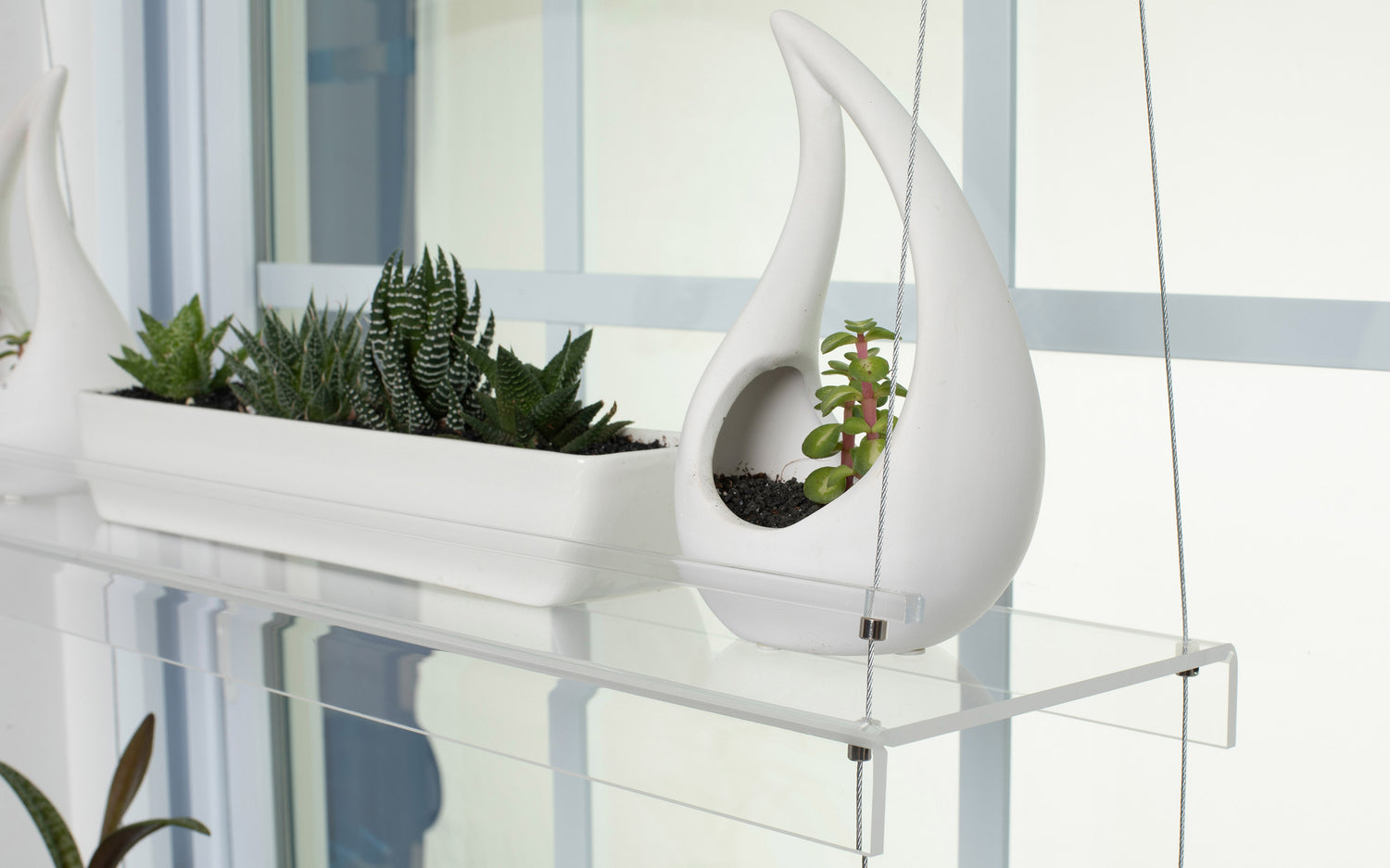 Beautiful Views clear acrylic window plant shelf succulents white pots