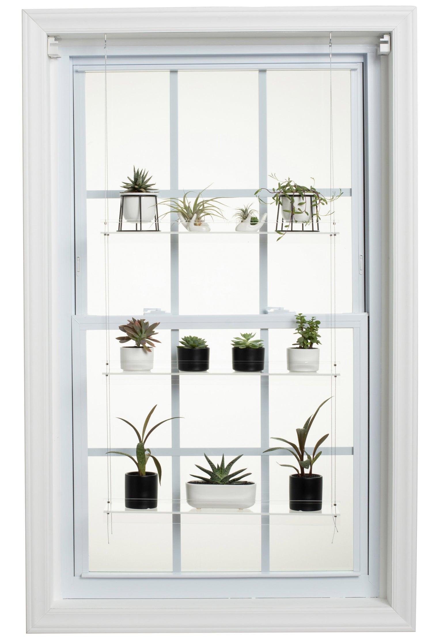 Hanging Window Plant Shelf  - 3 Shelf.