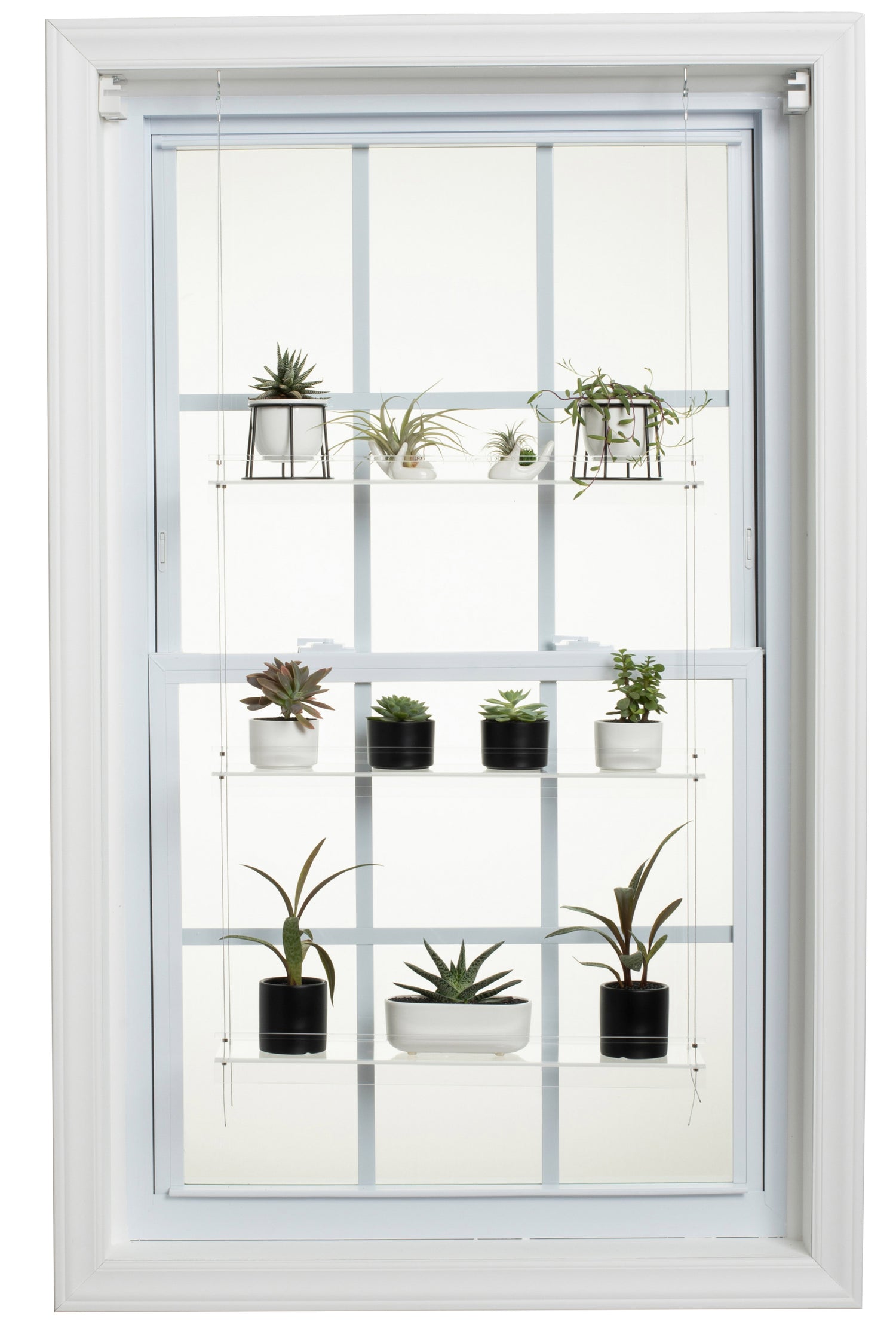 hanging shelves with plants Hanging Window Plant Shelf