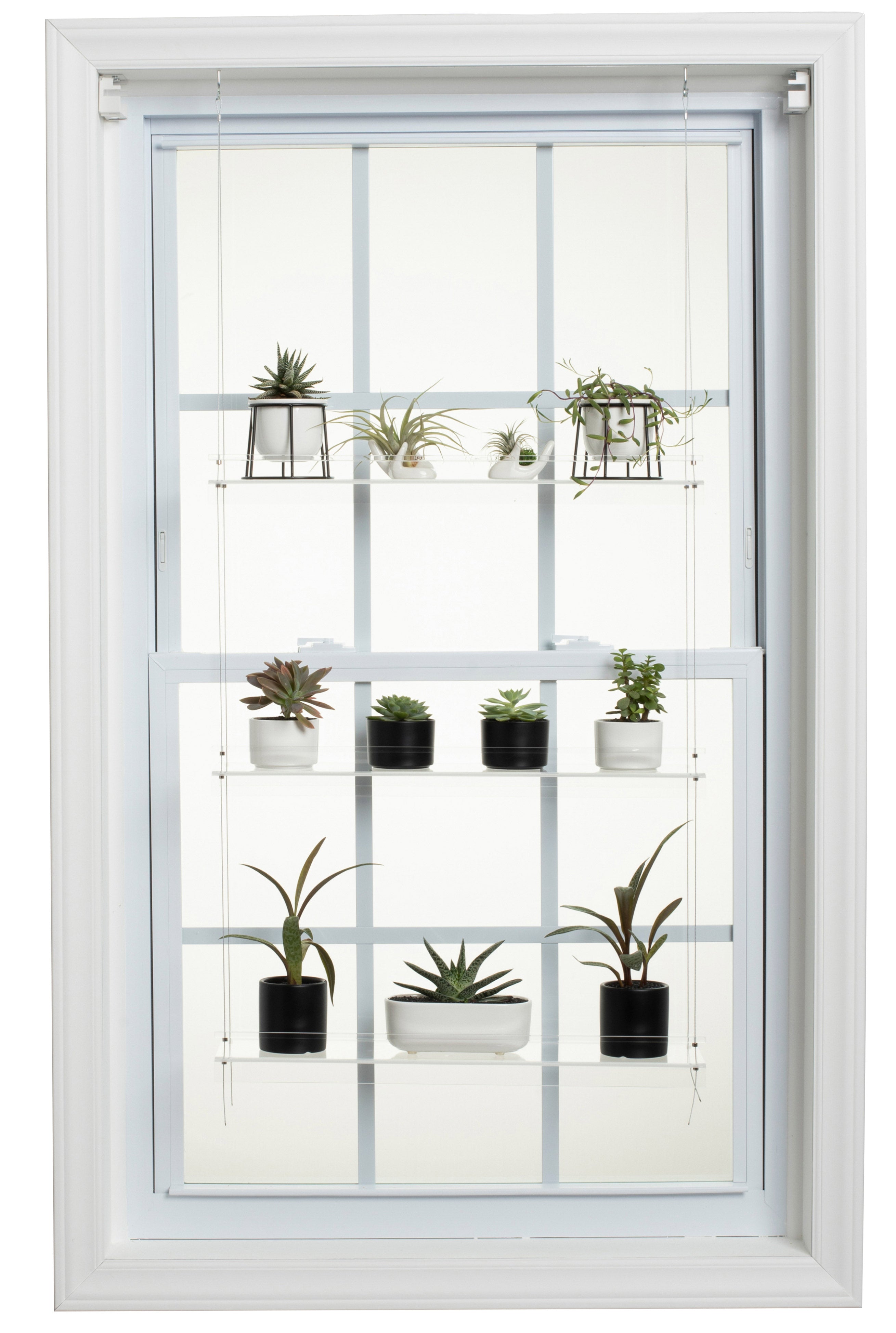 Hanging Window Plant Shelf - 3 Shelf