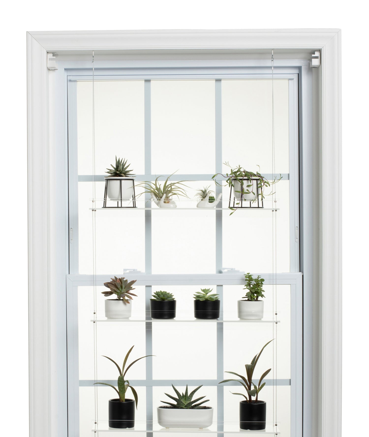 window shelves for indoor plants Hanging Window Plant Shelf