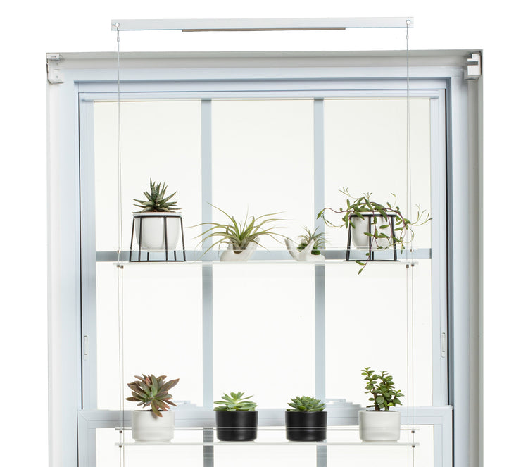 Hanging Window Plant Shelf - 2 Shelf.