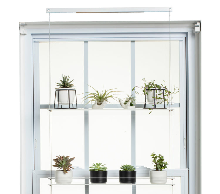 Hanging Window Plant Shelf  - 3 Shelf.