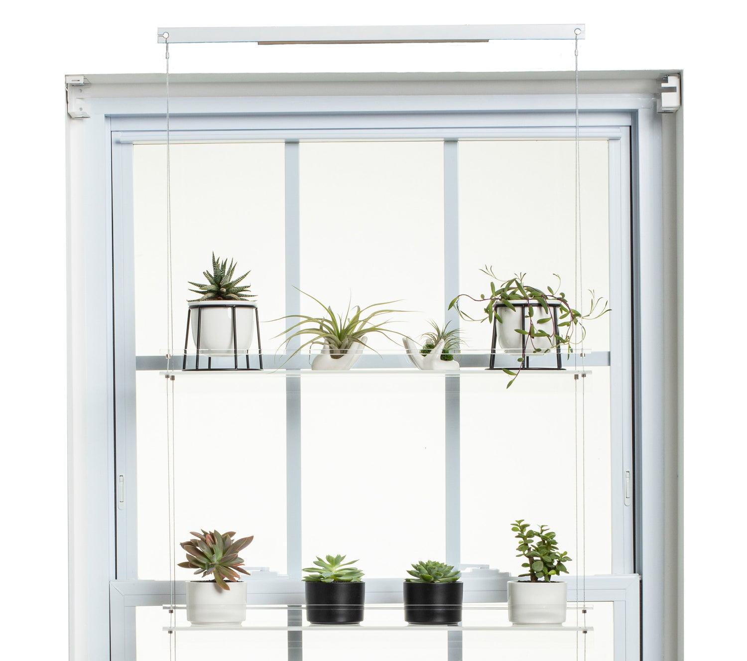 Hanging Window Plant Shelf - 4 Shelf.