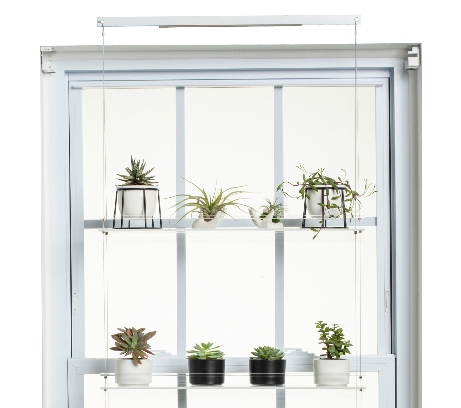 plant shelves hanging Hanging Window Plant Shelf